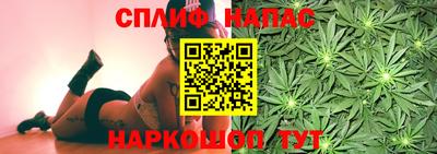 спиды Краснодар