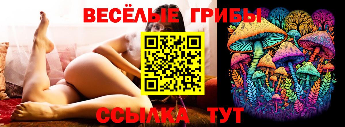 Галлюциногенные грибы ЛСД  Галлюциногенные грибы ЛСД  Клинцы  Вход с VPN 