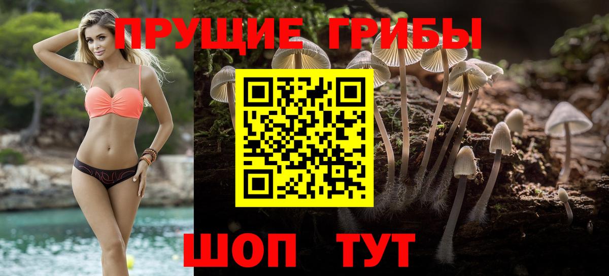 Псилоцибиновые грибы Magic Shrooms Клинцы
